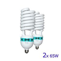 LimoStudio 65 Watt Fluorescent Full Spectrum Pure White Daylight Balanced Studio Light Bulb, AGG118-A