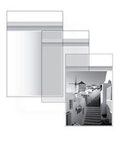 Golden State Art, 100 16 3/8x20 1/8 Crystal Clear Bag for mat mattes