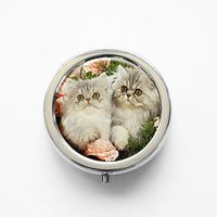RhyNSky Animal Persian Cat Mini Portable Pocket Pill Box Case Holder for Purse, 3 Compartments, Silvery, FS111