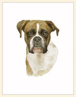 Fiddler's Elbow Boxer Blank Box Note Cards