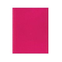 Caspari Solid Gift Enclosure Cards in Fuchsia, 20 with Envelopes