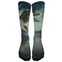 Landscape With Dinosaur Athletic Tube Stockings Women's Men's Classics Knee High Socks Sport Long Sock One Size