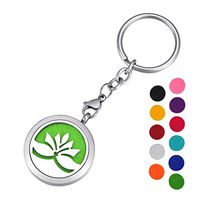 HOUSWEETY Aromatherapy Essential Oil Diffuser Key Chain - Stainless Steel Locket Keychain,11 Refill Pads(Non-Engraving)