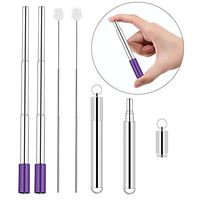 Pakesi Portable Collapsible Reusable Straws - Telescopic Stainless Steel Metal Travel Straw Drinking with Case, Cleaning Brush and Keychain-Silver 2Pack