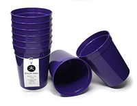 Rolling Sands 16 Ounce Reusable Plastic Stadium Cups Purple, 8 Pack, Made in USA, BPA-Free Dishwasher Safe Plastic Tumblers