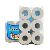 Silky & Smooth Soft Professional Series Premium 3-Ply Toilet Paper, Home Kitchen Toilet Tissue, Soft, Strong and Highly Absorbent Hand Towels for Daily Use, 6 Rolls (6 Rolls)