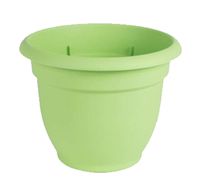 Bloem Ariana 10-inch Planter with Self Watering Grid Living Green