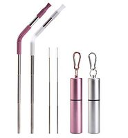 Straw 2Pack Metal Straws Reusable Straw Collapsible Straw Stainless Steel Straws Port Drinking Straw Silicone Straw Beverage Aluminum Key-chain Cases Cleaning Brushes Tumbler (Pink & White)