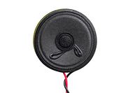 50mm Diameter 0.2w Miniature Full Range Speaker