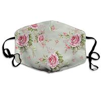Mouth Mask Intage Valentine Rose Fashion Earloop Face Mask For Kids Teens Men Women Winter Summer