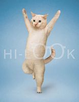 Hi-Look Microfiber Cleaning Cloth - Marco