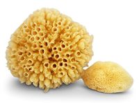 Real Sea Sponges for Babies - 2 Pk Bath Care Set, Gentle, Kind on Skin, for Bathing Washing Body Eyes & Ears, Also for Newborn Toddler & Kids; Baby Shower Spa Gift by Contented Infant