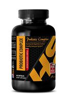 Stomach Supplement - PROBIOTIC Advanced Blended Complex - Bacteria for Digestive System - probiotic Weight Loss Supplement - 1 Bottle 60 Capsules