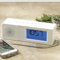Chef Tunes, Thermometer & Bluetooth Speaker