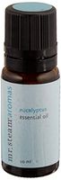 Mr. Steam 103810 Eucalyptus Essential Oil, 10 mL