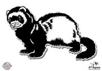 GT Graphics Ferret - 3" Vinyl Sticker - for Car Laptop I-Pad Phone Helmet Hard Hat - Waterproof Decal