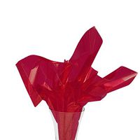 Red Plastic Cello Film 40" X 100'