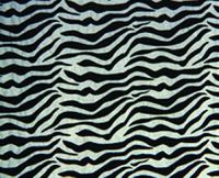 American # 5T185240, Zebras, All Occasion Printed Tissue Paper, Tissue Paper (240 per Pack)