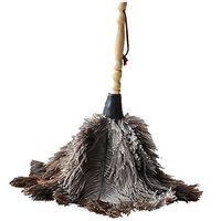 Feather Duster Household Dust Removal Housework Cleaning Car Dusting Feather Duster