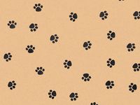 Black Paws"PAW Print" Tissue Paper for Gift Wrapping 15"x20" Kraft Brown Sheets (10 ct)