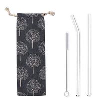 Clear Glass Straw Set 2 PK with carrying case, 9” X 9 mm Bent and Straight, Eco-Friendly, Reusable, Plastic Free, with FREE cleaning brush, Made in USA and shipped from the USA