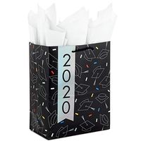 Hallmark 9" Medium Graduation Gift Bag with Tissue Paper (Black with Confetti and Holographic 2020)