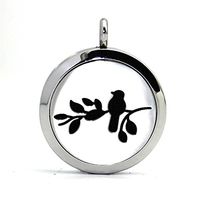 Stainless Steel Sparrow Aromatherapy Essential Oil Diffuser Necklace Carving Locket Pendant,10 Felt Pads