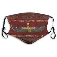 Golden Egyptian God Ornament On Red Leather Men Women Adjustable Earloop Face Ma-sk,Washable Protection Ma-sk with Filter,Anti-smog PM2.5 Ma-sk,Dustproof Mouth Ma-sk,Safety Cotton Ma-sk