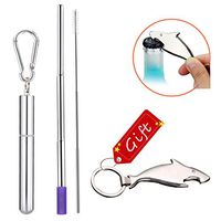 Foldable Metal Straws with Case - Exuca Stainless Steel Straws Drinking & Dolphin Bottle Opener Keychain (Silver)