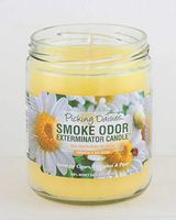 Smoke Odor Exterminator 13oz Jar Candle, Picking Daisies, 13 oz