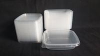 Set 20pcs 4 oz (125ml) Small Plastic Disposable Rectangular Containers Buckets With Lids for Foodstuff. New