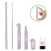 Itaar Foldable Straw Portable Reusable Drinking Telescopic Collapsible Stainless Steel Metal Straw with Aluminum Case & Cleaning Brush Rose Gold