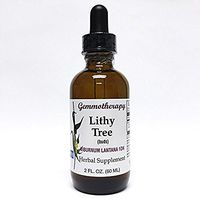 Boiron, Gem Lithy Tree Buds, 1 Count