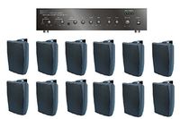 Large Restaurant/Bar/Retail Store Business Background Music Sound System- Amp, 12 Surface Speakers +