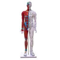 LUCKFY HD TCM Acupuncture Point Human Body Model Meridian Diagram Human Acupoint Model for Massage Acupuncture Teaching Tool,85CM