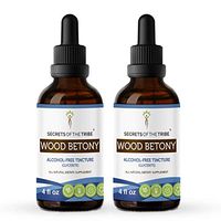 Wood Betony Alcohol-Free Liquid Extract, Organic Wood Betony (Stachys officinalis) Dried Top Tincture Supplement (2x4 FL OZ)
