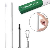 Telescopic Straw - Reusable Straw Keychain - Collapsible Stainless Steel Metal Straws with Case (Silver)