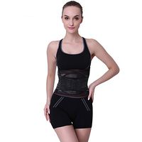 Waist Support Trimmer Belt Workout Exercise with Adjustable Wrap for Stomach and Back Support Large - WSB15L