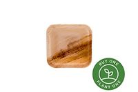 3" Square Palm Leaf Condiment Bowls Cups - Pack of 25 - Disposable, Compostable, Natural, Tree Free, Sustainable, Eco-Friendly - Fancy Rustic Party Dinnerware and Utensils Like Wood, Bamboo