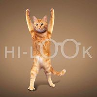 Hi-Look Microfiber Cleaning Cloth, cat design - Yoga Cat - Cheeto