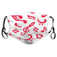 Mouth Masks for Dust Protection Face Mask Washable Earloop Mask Activated Carbon Filter Music