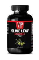 Immune Support - Olive Leaf Extract 500MG - Olive Extract Capsules - 1 Bottle (60 Capsules)