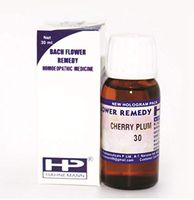 Hahnemann Bach Flower Remedy Cherry Plum for Fear of Losing Control, Temper, Breakdown Pack of 3