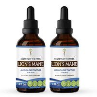 Lion's Mane Alcohol-Free Tincture Extract, Organic Lion's Mane (Hericium erinaceus) Dried Mushroom Tincture Supplement (2x4 fl oz)