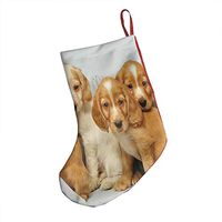 Great Family Animal Dogs Designer Xmas Socks Hanging Decoration Candy Bag Party Holiday Christmas Santa Claus Home Decor Gift