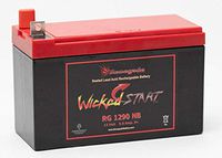 Renegade RG-1290NB 12V 9AH Rechargeable SLA Battery Replaces Generac 0G9449 GP5500E GP6500E GP7500E XP6500E Generator Battery 200+ CCA's
