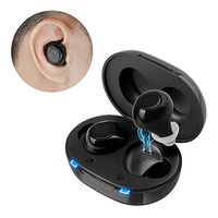 JINGHAO Hearing Amplifiers Rechargeable, Digital Small in Ear Hearing Assist, Portable Charging Case USB, 1 Pair