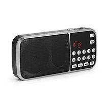 Zerone Y-501 Portable FM Radio, Digital FM Radio Audio Player with Rechargeable Li-ion Battery and LED Flashlight Support TF Card, U disk, MP3 Player