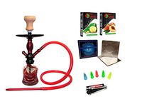 Premium Series: 11" 2 Hose Hookah Complete Set - Psychedelic Butterfly Garden - (Fandango Violet)