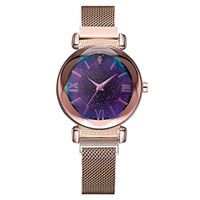 AMOUSTORE Women Quartz Watch for Starlight Dial, Wrist Watches for Business Dress (Gold)